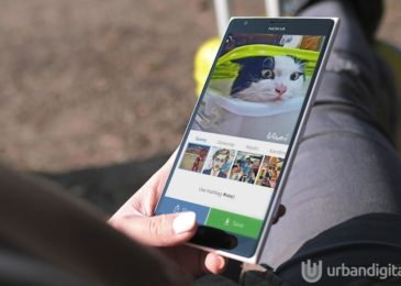 vinci alternatif prisma windows