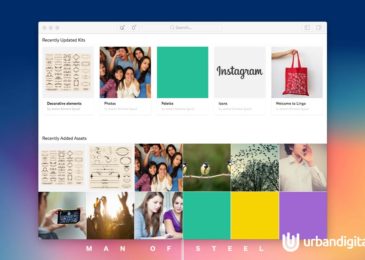 lingo koleksi ikon dan palet warna