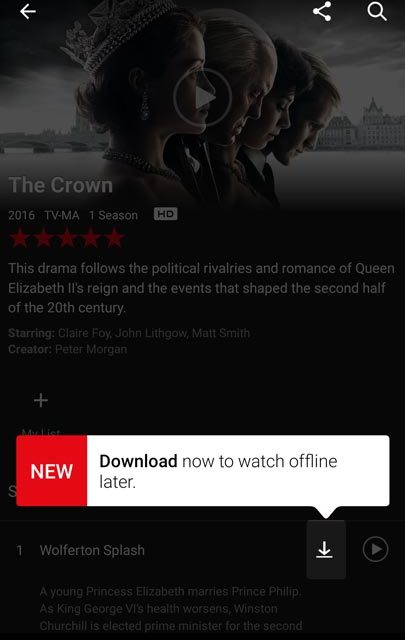 download film netflix offline