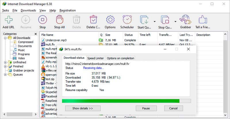 IDM (Internet Download Manager)