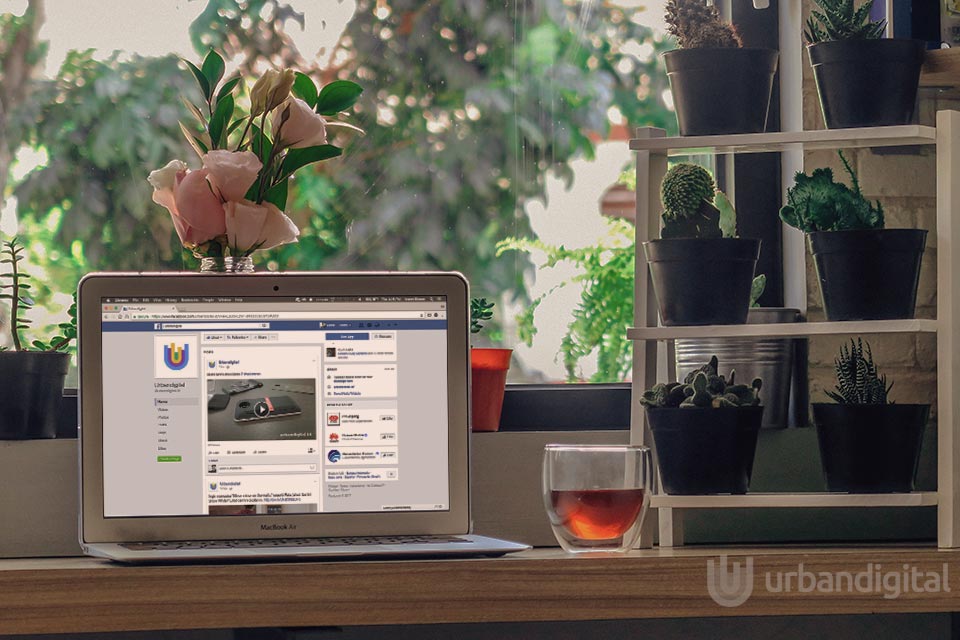 facebook page posts