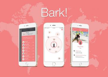 media sosial baru bark
