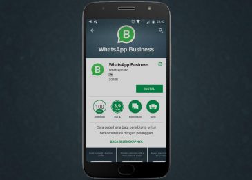 aplikasi whatsapp business