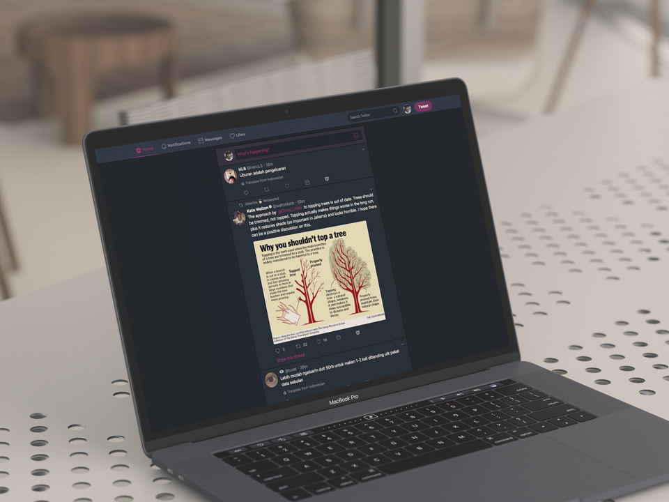 refind twitter di macbook