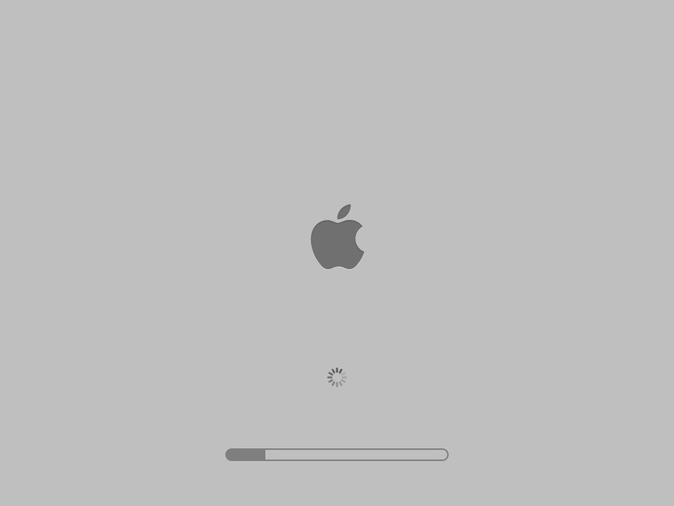 Apple Logo Boot Screen