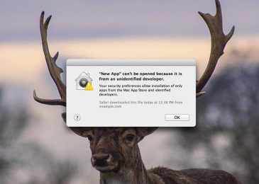 peringatan app from an unidentified developer