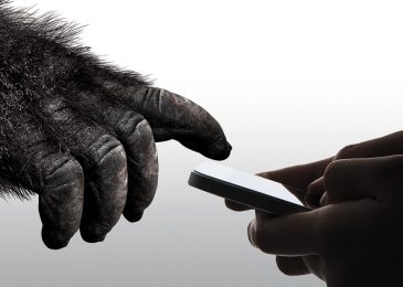 corning gorilla glass 6