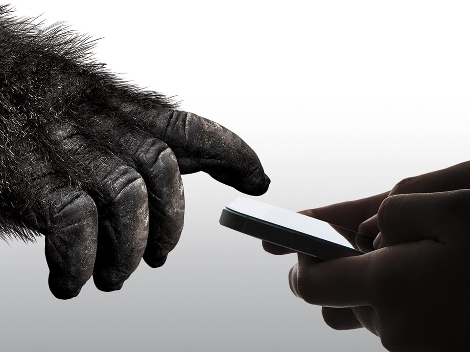 corning gorilla glass 6