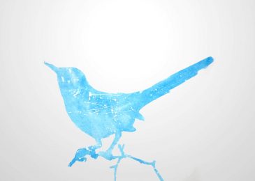 bird water color illustration