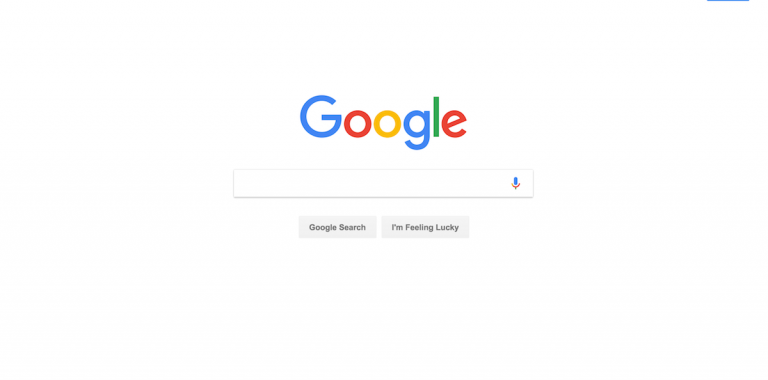 Google web search
