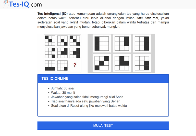 TES-IQ.com