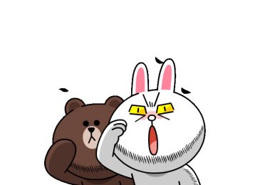 brown cony line