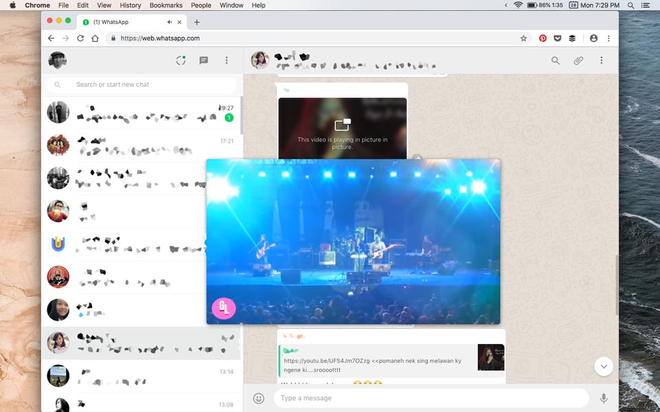 tampilan video picture-in-picture whatsapp web