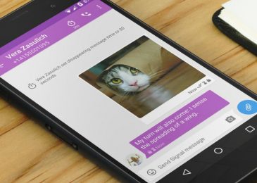 aplikasi chatting signal