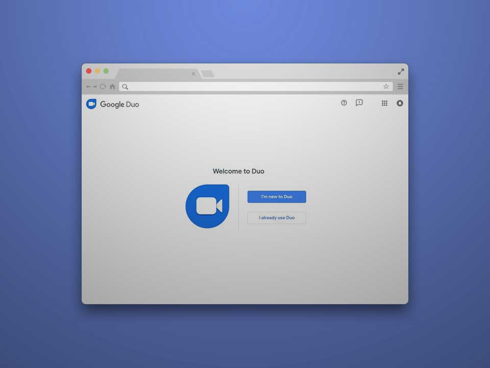 google duo web
