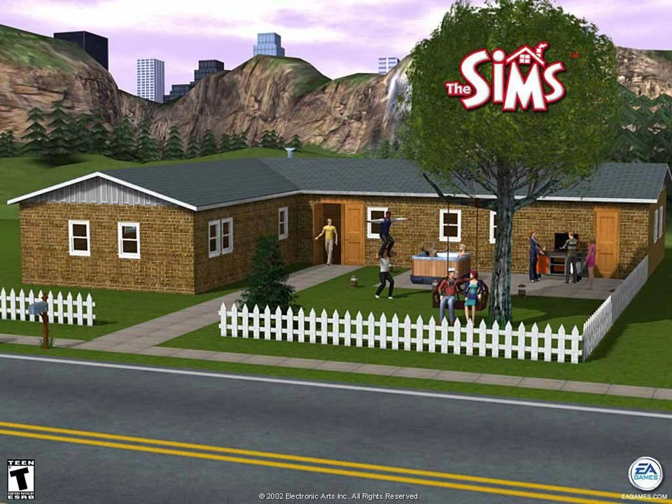 the Sims