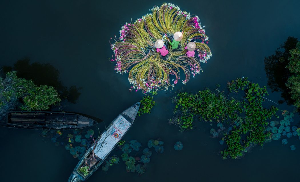 Flowers on the water, juara foto dengan drone