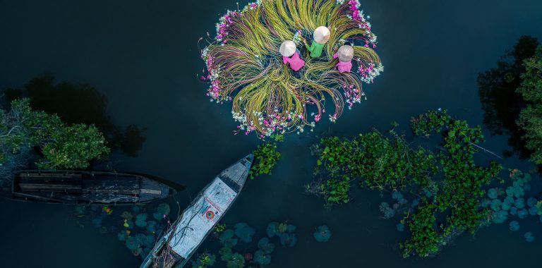 Flowers on the water, juara foto dengan drone