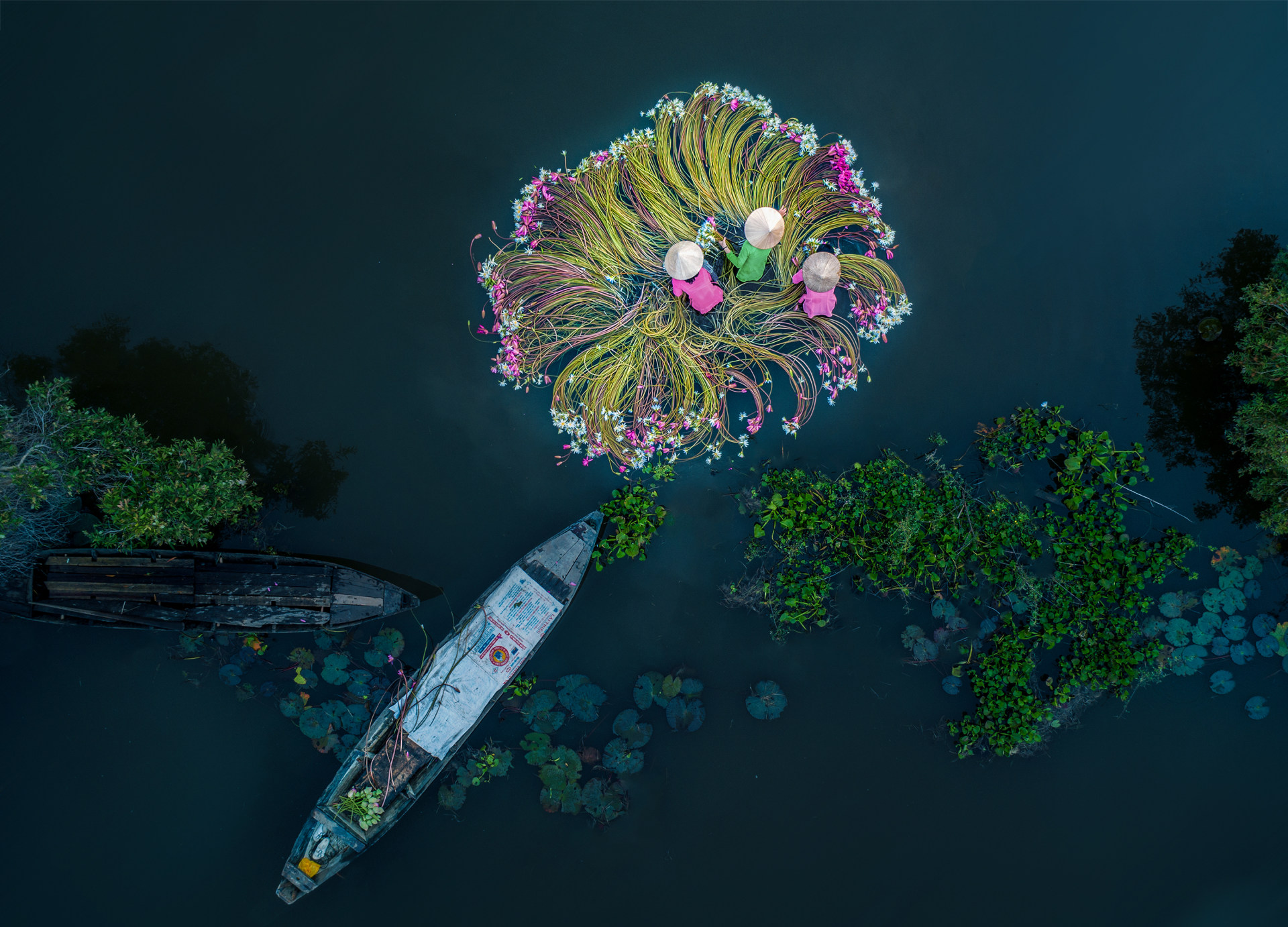 Flowers on the water, juara foto dengan drone