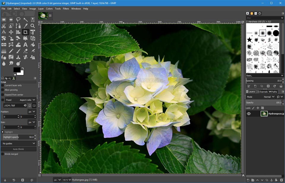 Aplikasi Alternatif Adobe Photoshop Yang Layak Dicoba