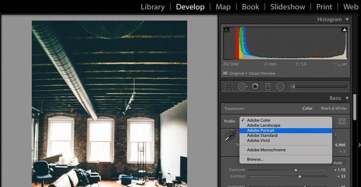 pilihan profile adobe lightroom