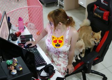 kimi hime