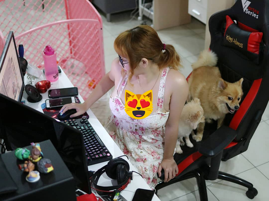 kimi hime