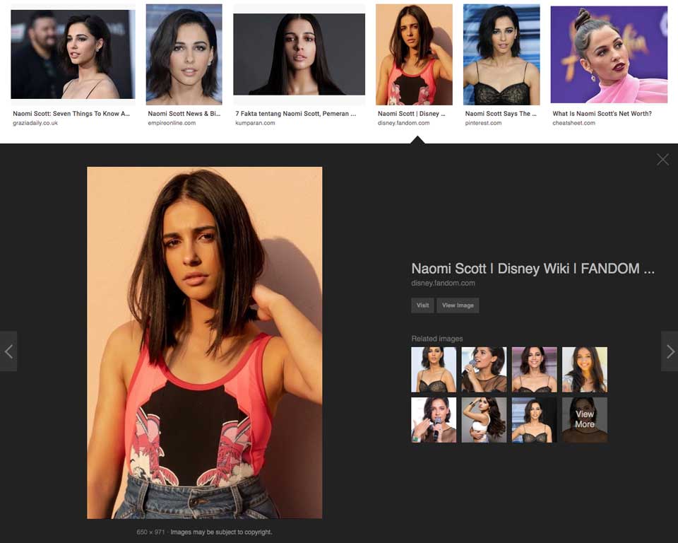 Tips Mengembalikan Tampilan Google Image Seperti Dulu
