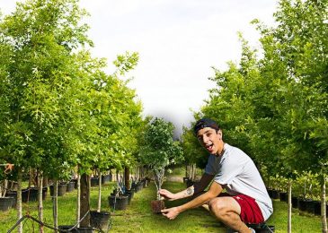Cegah Global Warming, Ratusan YouTuber akan Tanam 20 Juta Pohon