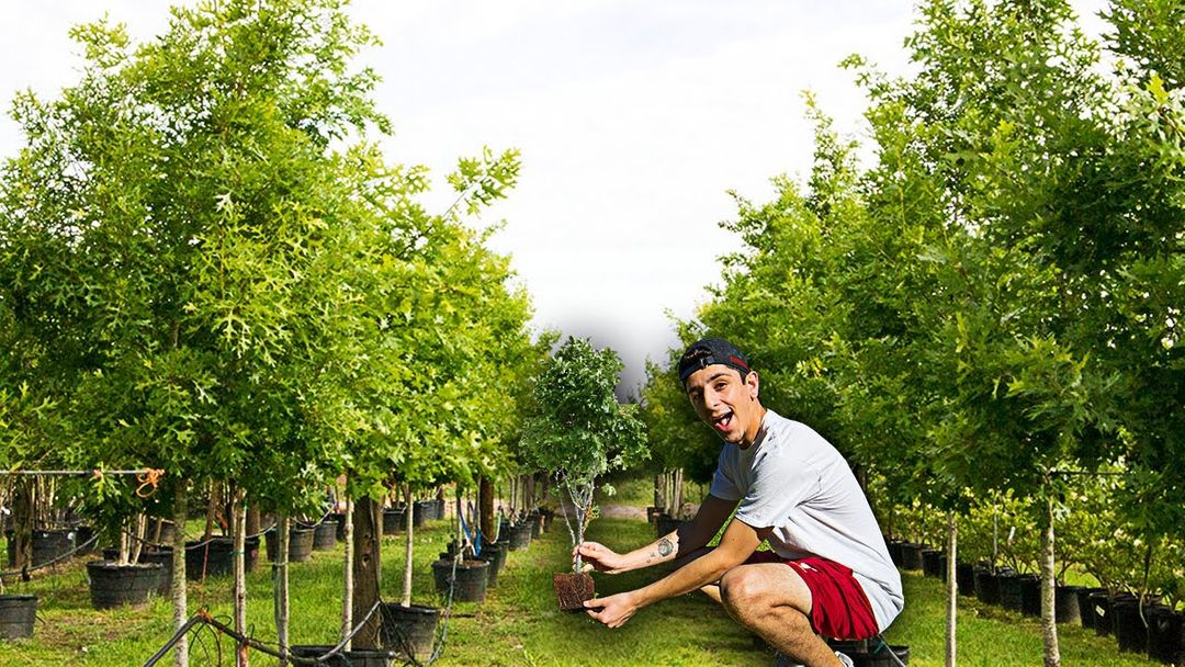 Cegah Global Warming, Ratusan YouTuber akan Tanam 20 Juta Pohon