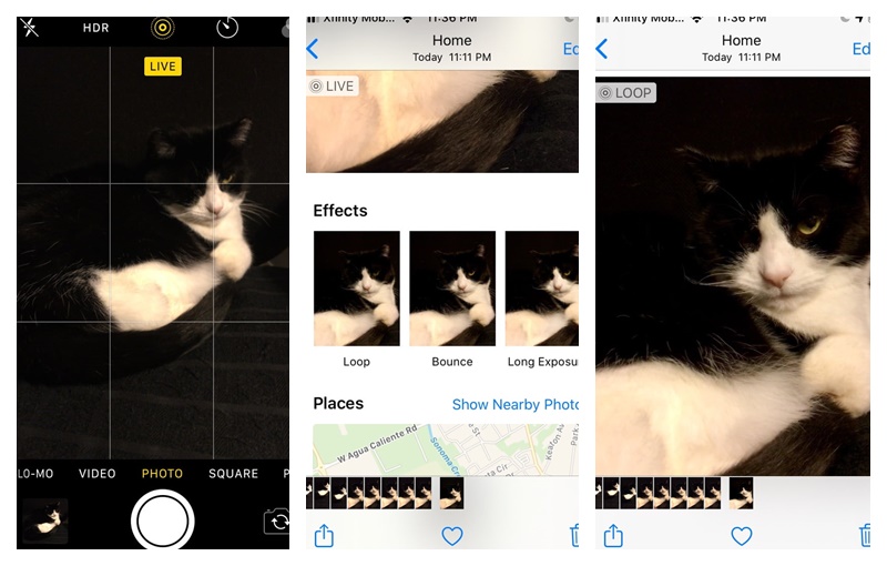 Cara Mudah Membuat GIF di iPhone dari Foto dan Video