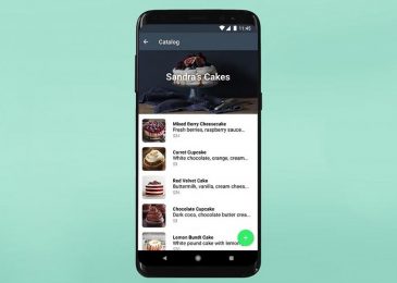 fitur katalog whatsapp bisnis