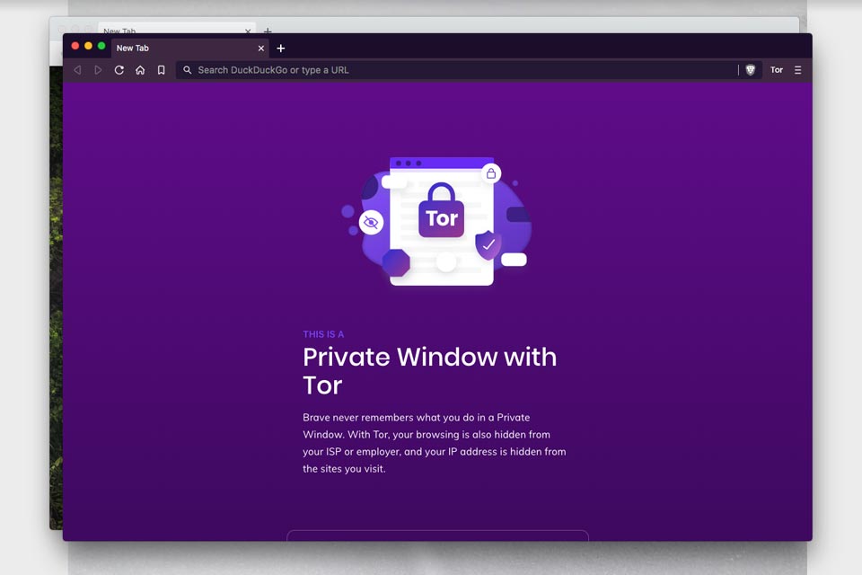brave private browser with tor