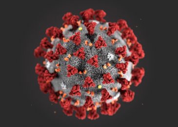 Google dan Perusahaan Teknologi Lain Bersatu Lawan Hoax Coronavirus