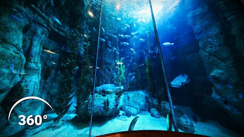 Rekomendasi Travel Virtual Buat Kalian yang Bosan Di Rumah Aja