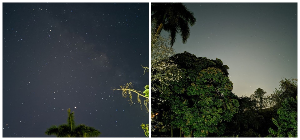 Bocoran Hasil Foto Pixel 4a Tunjukan Kualitas Khas Kamera Google