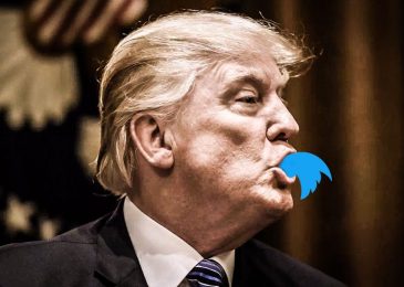 Heboh! Twitter Hapus Tweet Donald Trump Gara-gara Linkin Park