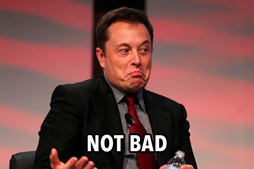 elon musk meme