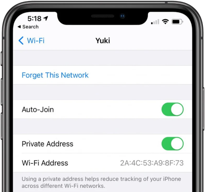 WAJIB TAU! Inilah Deretan Fitur Tersembunyi yang Dimiliki iOS 14