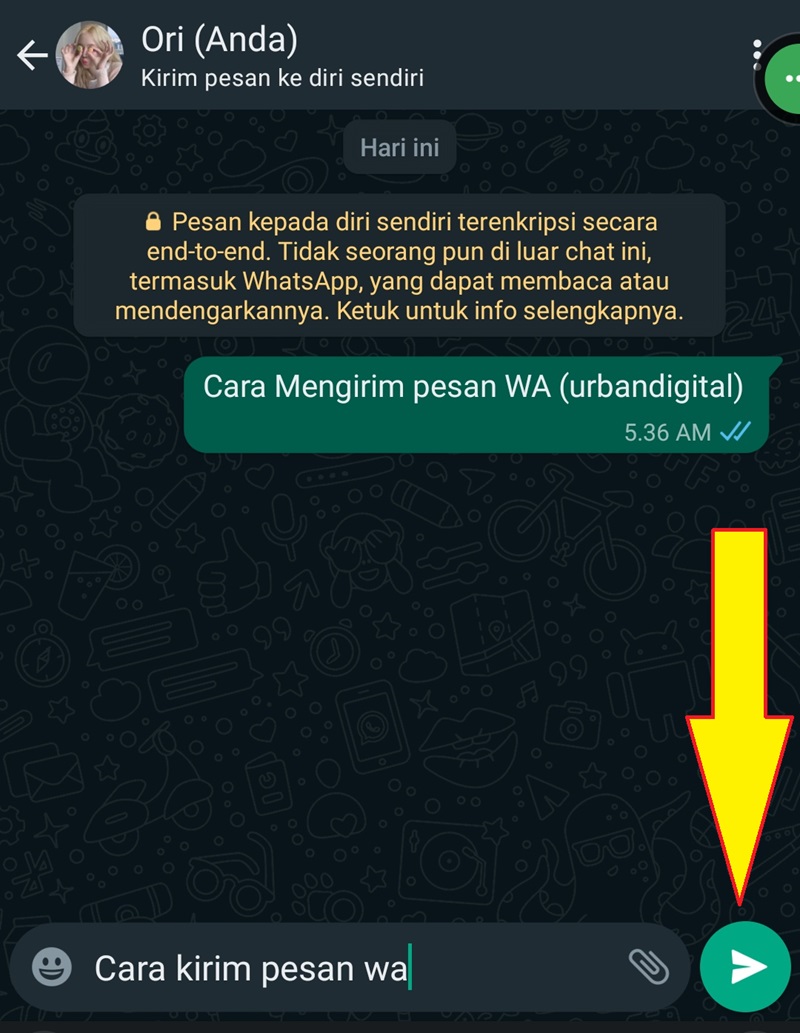 Cara Kirim Pesan WhatsApp 3