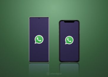 whatsapp android iphone