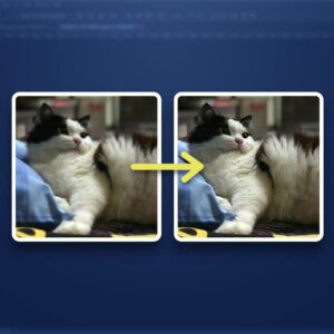 Cara Mempertajam Foto di Photoshop & Gambar Tetap Terlihat Wajar