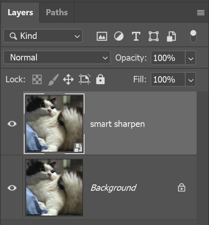 smart object duplicate layer