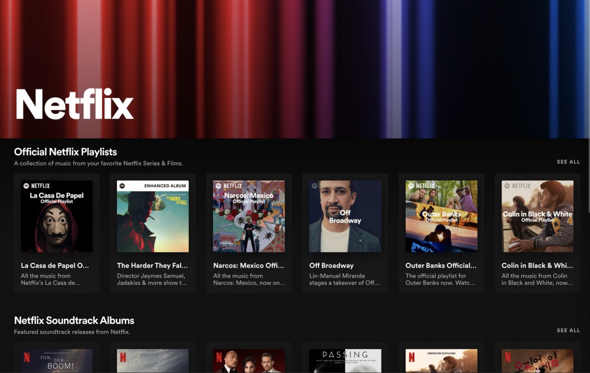 Netflix Hub Spotify