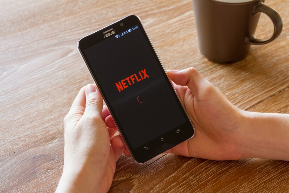 netflix monetisasi share password