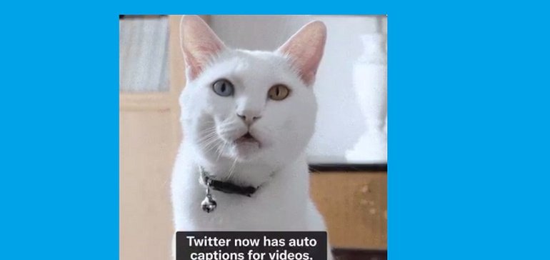 Twitter Adds Auto Captions for All Video Uploads in Tweets