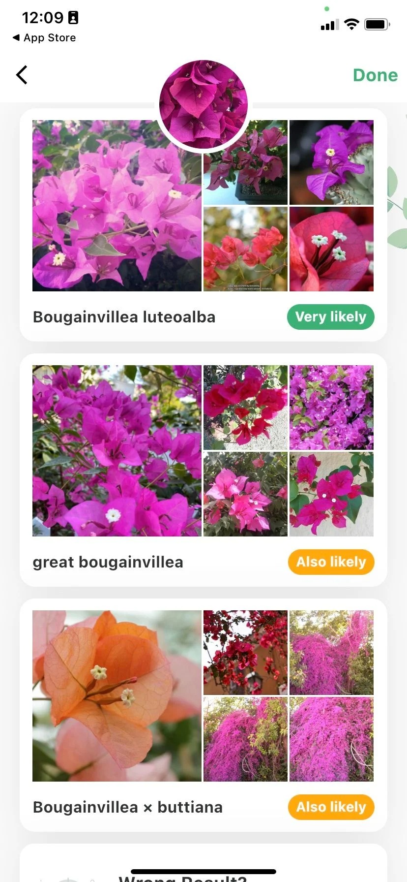 Plant Identification results pag
