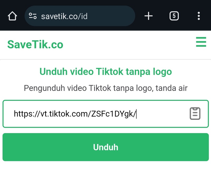 SavTik.co 3