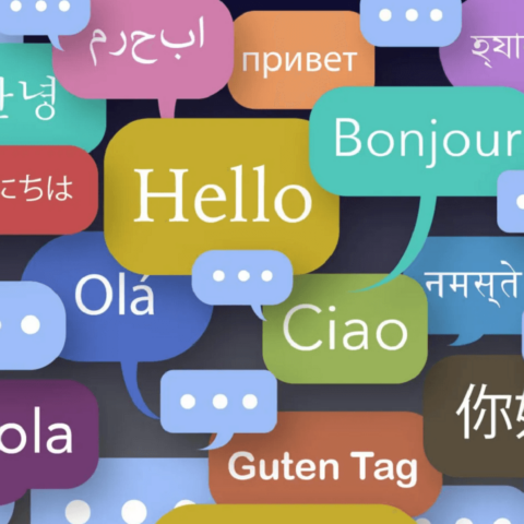 Aplikasi Translate Terbaik Windows