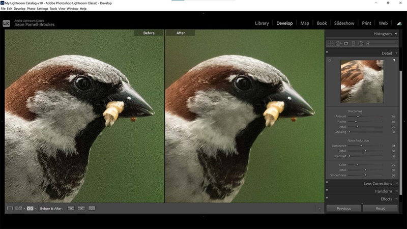 Noise Reduction